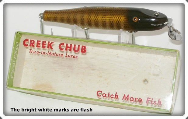 Creek Chub Pikie Scale Pikie In Correct Box