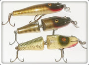 CCBC Creek Chub Baby Pikie Lot: Pikie Scale & Silver Flash